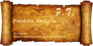 Pandula Terézia névjegykártya