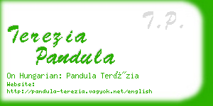 terezia pandula business card